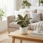 calathea com folhas decorativas em vaso branco sobre mesa de centro em sala aconchegante