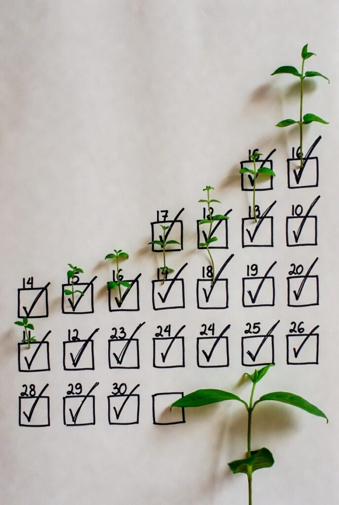 Plano de 30 dias para reprogramar a mente - progresso gradual e consistente